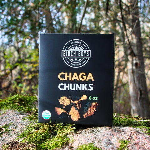 A black box of Birch Boys Organic Chaga Chunks, 8 oz, standing on a mossy rock with a blurred forest background.