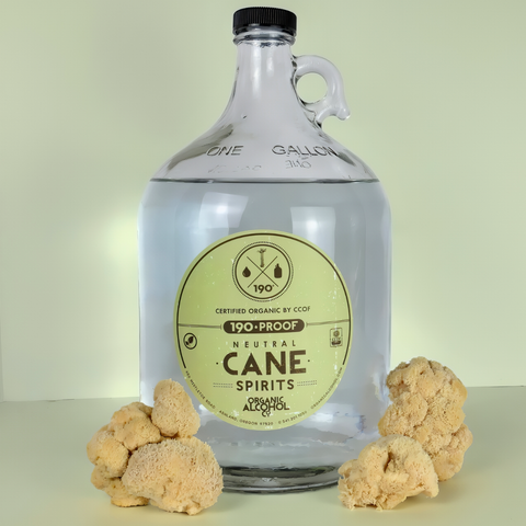 A large clear glass gallon jug with a black cap and a pale yellow circular label reading '190 Proof Neutral Cane Spirits' is centered on a light beige background. The bottle is surrounded by several chunks of Lion's Mane mushroom at the base.
