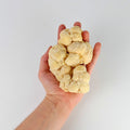 Lion's Mane Fruiting Body in Hand