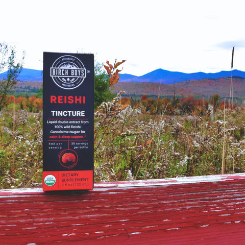 Reishi Tincture in front of Adirondack Mountains