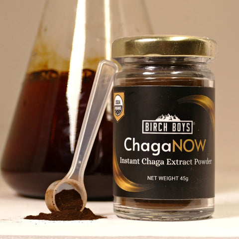 ChagaNOW: Instant Chaga Extract Powder - Chaga Tea - Birch Boys, Inc.