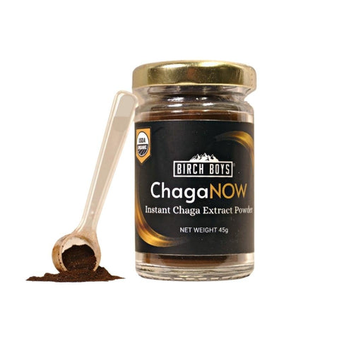 ChagaNOW: Instant Chaga Extract Powder - Chaga Tea - Birch Boys, Inc.