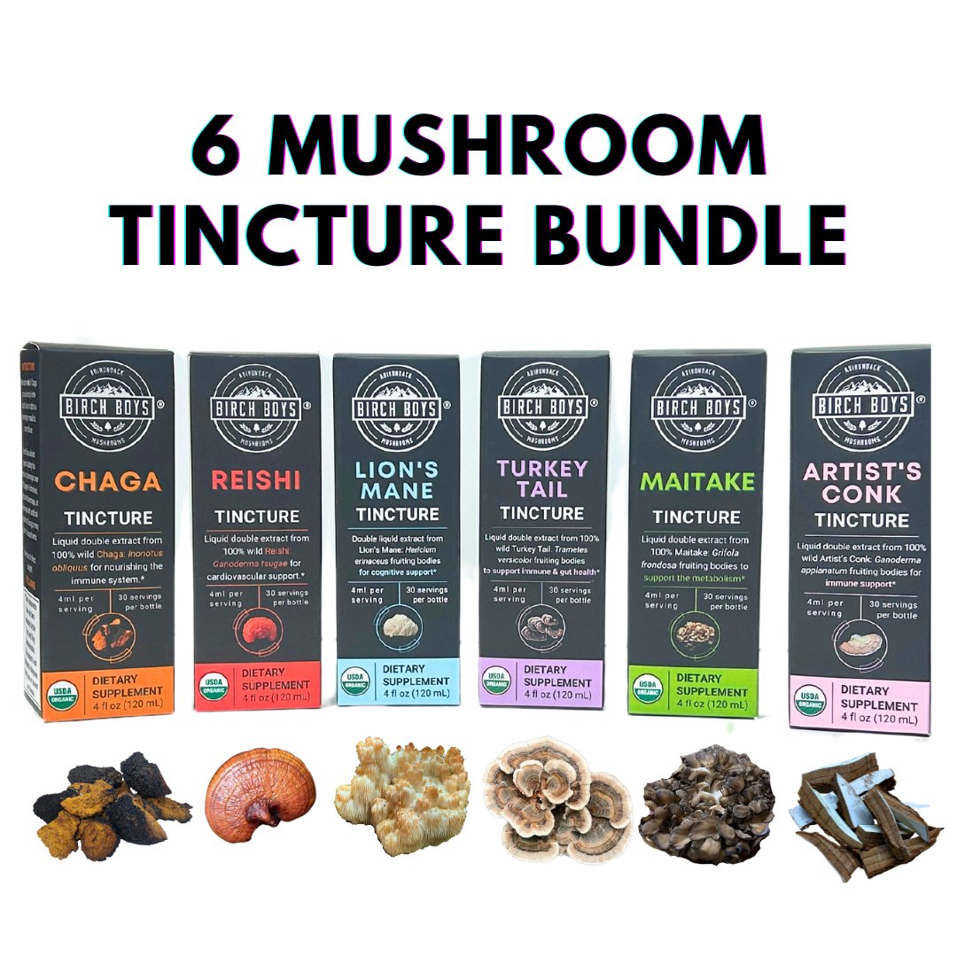 Mushroom Tincture Bundle - Tinctures - Birch Boys